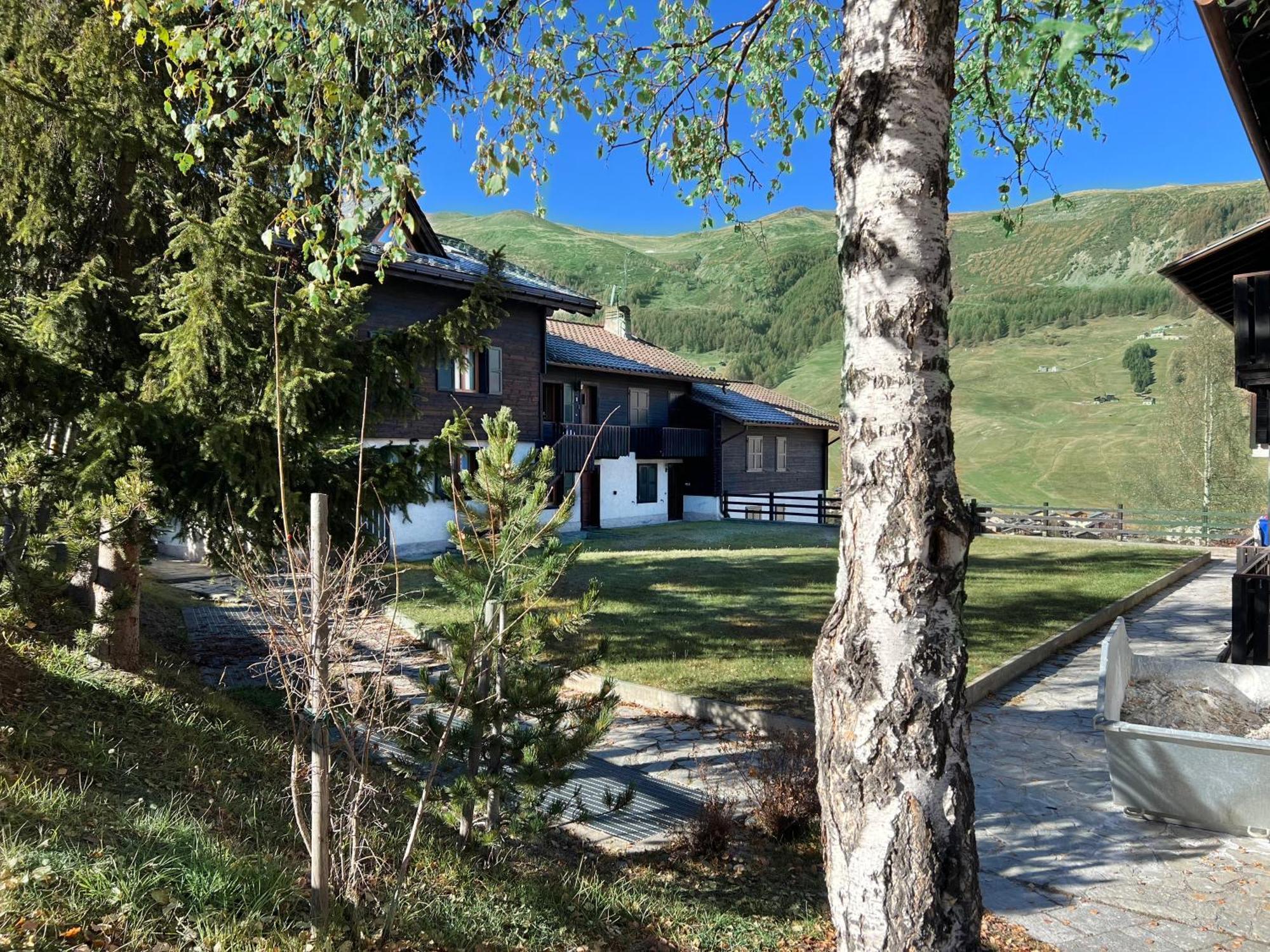 Apartment Rododendro Livigno